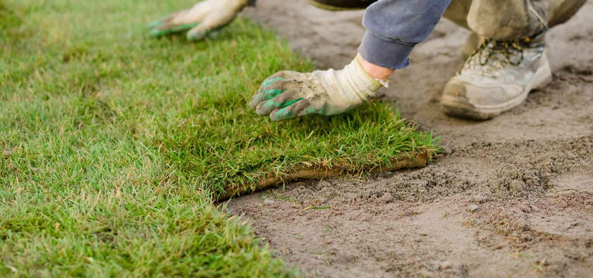 A team member of WORK yard care laying grass in Sudbury, Ontario