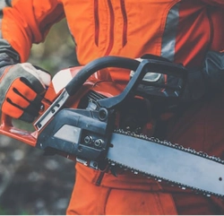 A worker holding a chainsaw